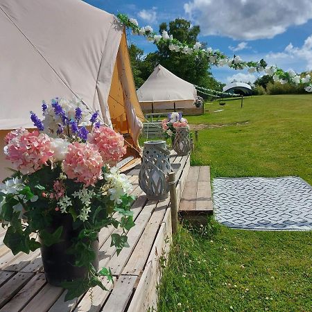 Hopgarden Glamping - Luxury 6M Bell Tent Wadhurst ภายนอก รูปภาพ