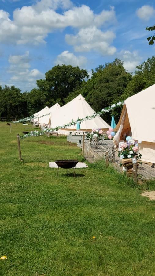 Hopgarden Glamping - Luxury 6M Bell Tent Wadhurst ภายนอก รูปภาพ
