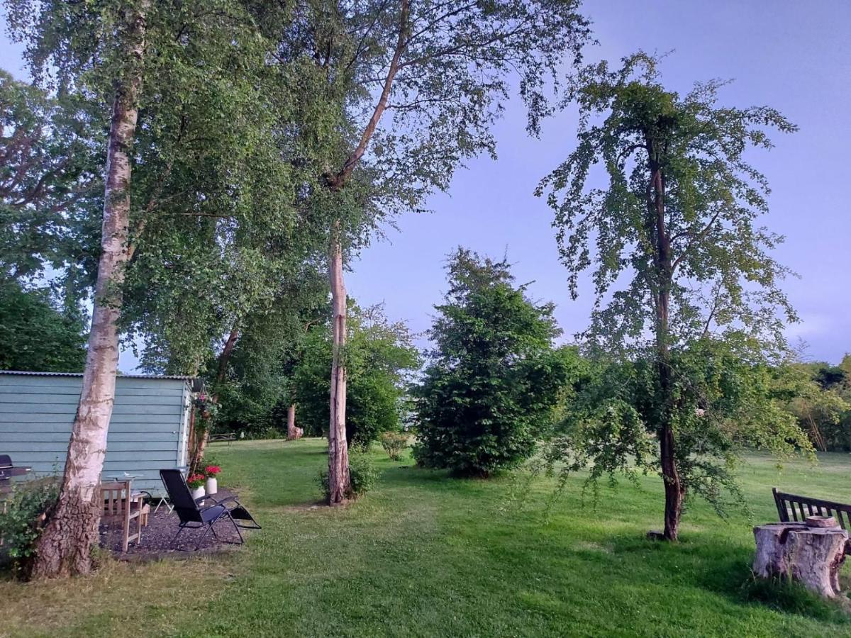 Hopgarden Glamping - Luxury 6M Bell Tent Wadhurst ภายนอก รูปภาพ