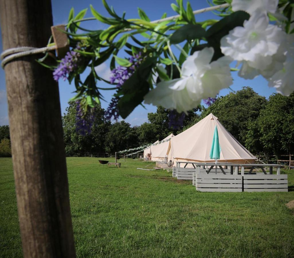 Hopgarden Glamping - Luxury 6M Bell Tent Wadhurst ภายนอก รูปภาพ